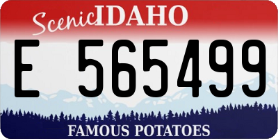 ID license plate E565499