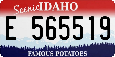 ID license plate E565519