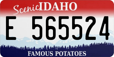 ID license plate E565524