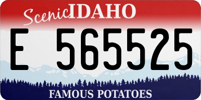 ID license plate E565525