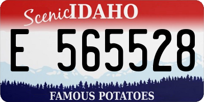 ID license plate E565528