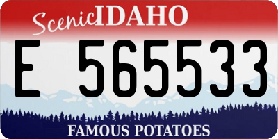 ID license plate E565533