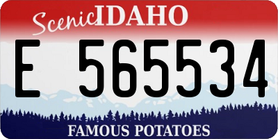 ID license plate E565534