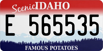 ID license plate E565535