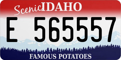 ID license plate E565557