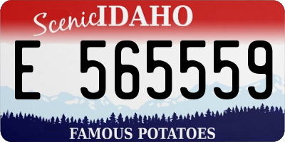 ID license plate E565559