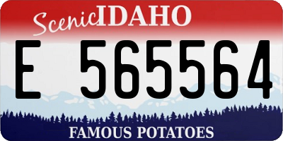 ID license plate E565564