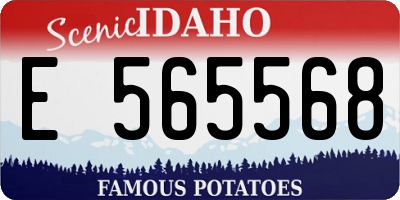 ID license plate E565568