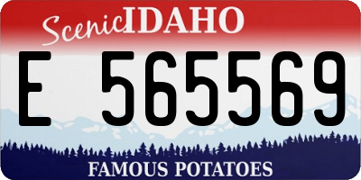 ID license plate E565569