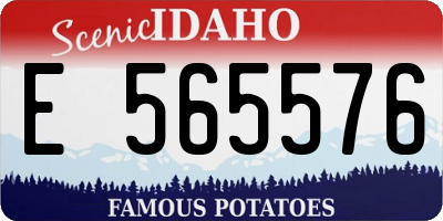 ID license plate E565576
