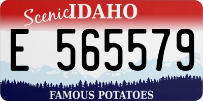 ID license plate E565579