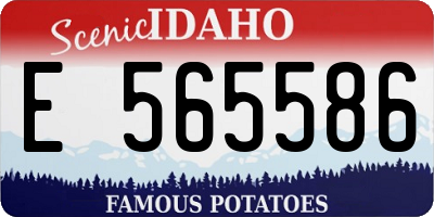 ID license plate E565586
