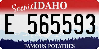 ID license plate E565593