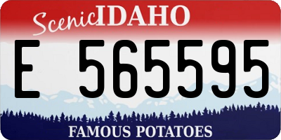 ID license plate E565595