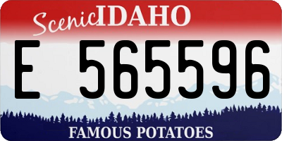 ID license plate E565596