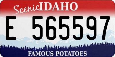 ID license plate E565597