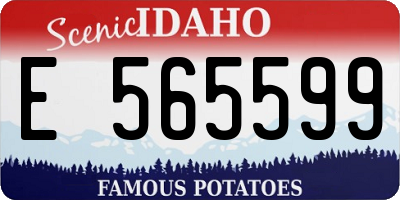 ID license plate E565599