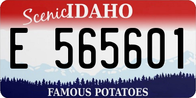 ID license plate E565601