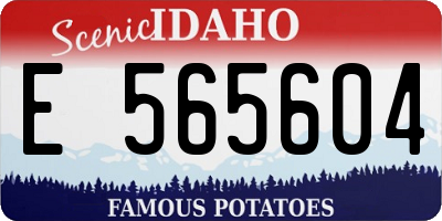ID license plate E565604