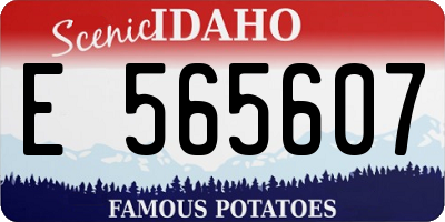ID license plate E565607