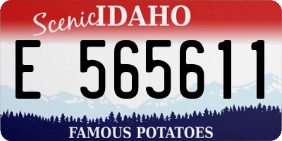 ID license plate E565611
