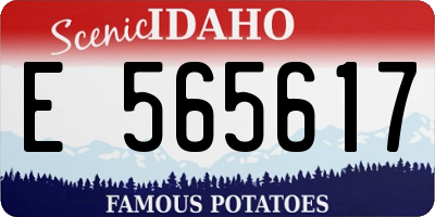 ID license plate E565617