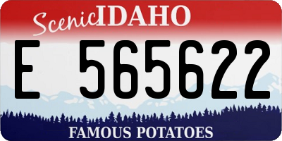 ID license plate E565622