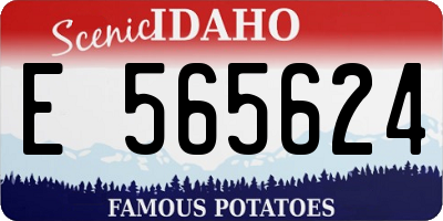 ID license plate E565624
