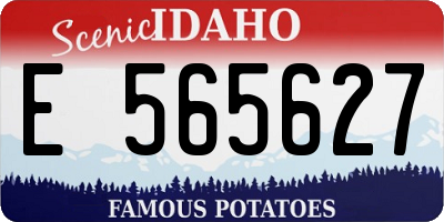 ID license plate E565627