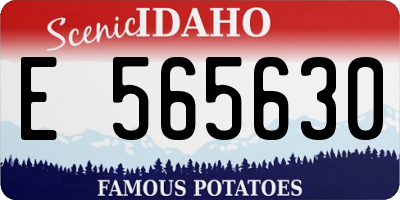 ID license plate E565630