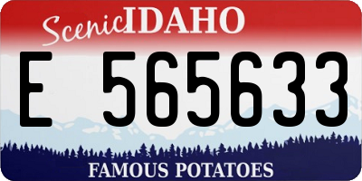 ID license plate E565633