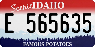 ID license plate E565635