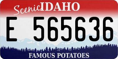 ID license plate E565636