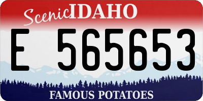 ID license plate E565653