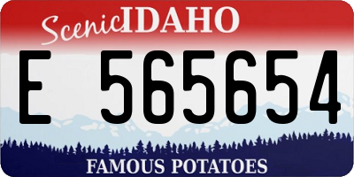 ID license plate E565654