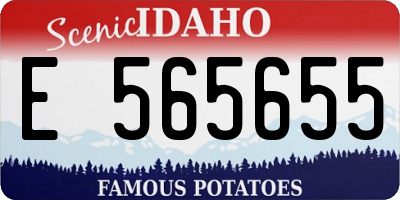 ID license plate E565655