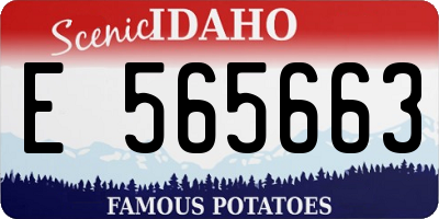 ID license plate E565663