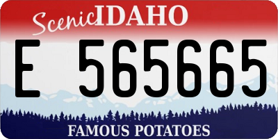 ID license plate E565665