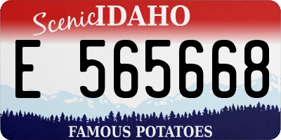 ID license plate E565668