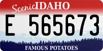 ID license plate E565673