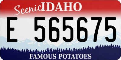 ID license plate E565675