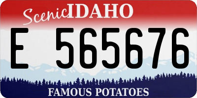 ID license plate E565676