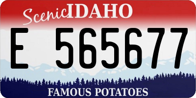 ID license plate E565677