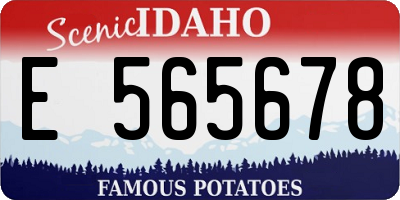 ID license plate E565678