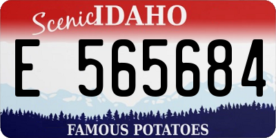 ID license plate E565684