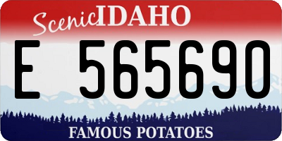ID license plate E565690