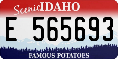 ID license plate E565693