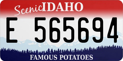 ID license plate E565694
