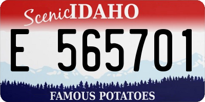 ID license plate E565701