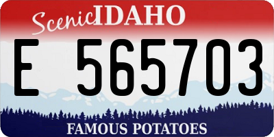 ID license plate E565703